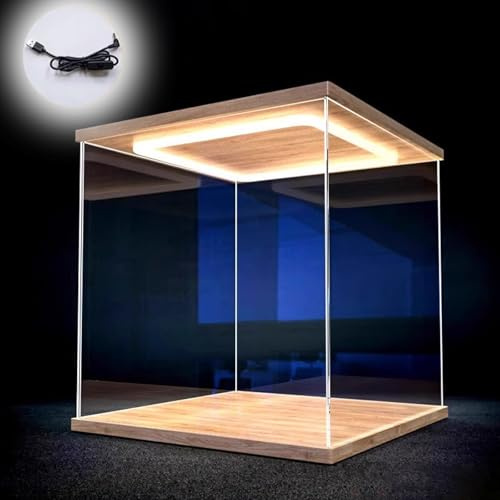 Acryl Vitrine Durchsichtige Vitrine aus Acryl mit LED-Licht, Staubdichte Aufbewahrungsbox für Sammlerstücke/ Actionfiguren, Perfekter Schutz für Die Vitrine Auf Der Arbeitsplatte(15x15x15cm/6x6x6)