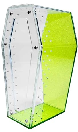 Generic Terrario para arañas saltarinas, jaula con puerta delantera, pequeño acuario para cría, verde