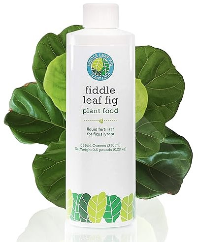 Fiddle Leaf Fig Tree Plant Food for Ficus Lyrata - Calcium Fortified, Urea-Free and with NPK Ratio of 3-1-2 for Healthy Roots, Stems and Leaves (240 ml)