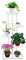 Étagère à Fleurs à 5 Niveaux Support de Pots de Fleurs en Métal, Étagère pour Plantes pour 6 Pots Intérieur Extérieur Stand pour Plantes Multifonctionnel Convient au Balcon Salon Chambre(Blanc)