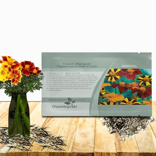 Outsidepride Tagetes Patula Pots of Gold French Marigold Seeds - 100 Pcs Annual Compact, Heat & Drought Tolerant Flower Seeds for Planting w/Mixed Bloom Colors, Ideal for Vibrant Pollinator Gardens