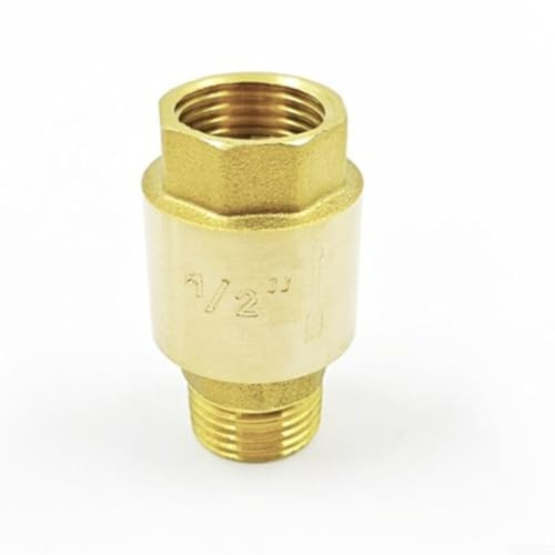 Clapet anti-retour en laiton à disque unique avec connexion filetée G pour systèmes d'alimentation en eau, canalisations d'irrigation de jardin, pompes de puits, installation verticale DN15-DN25