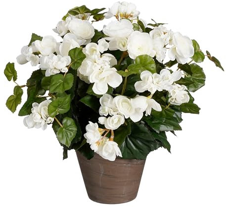 MICA Decorations Begonien Kunstpflanze im Blumentopf Stan - H37 x Ø36 cm - Weiß