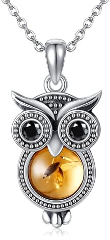 HUKKUN Eule Geschenke für Frauen Sterling Silber Faux Bernstein Eule Halskette Schmuck für Frauen