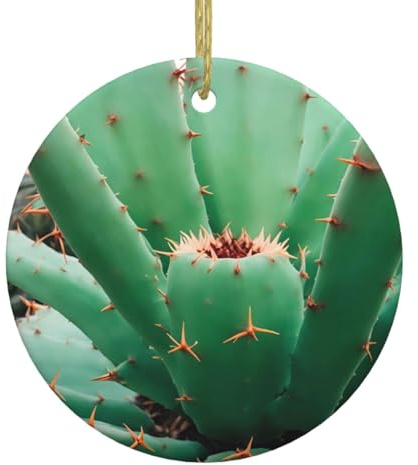 Christmas Ceramic Round Pendant Hanging - 2.9 in WHJSSF Agave Cactus Picture Holiday Decorations