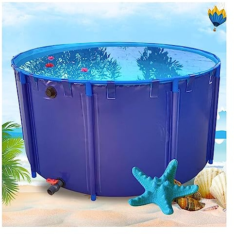 Above Ground Round Pool for Kids - PVC Canvas Swimming Pool with Steel Frame, Perfect for Backyard & Garden, Outdoor Family Fun (Blue, 2x1M, 3100L)