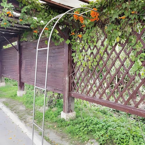JCVCCV Edelstahl-Garten-Halbseitenbogen, Halbbogen-Rosenbogen, Halbseiten-Rohrbogen für den Außenbereich für Verschiedene Kletterpflanzen(W1.4*H2.40m/4.6 * 7.8ft)