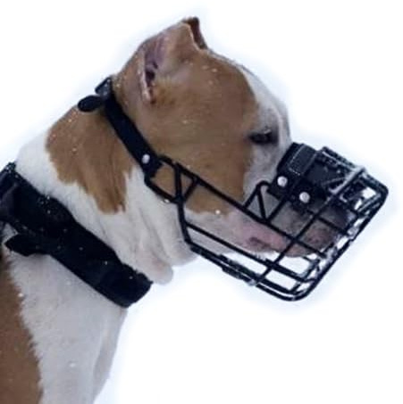 SYORIX Muselière en métal pour chien (taille 38, XL) pour Amstaff Grande, Pit Bull, Ca de BOU - Panier en fil de taille maximale pour tête large et museau court - Durable et respirant