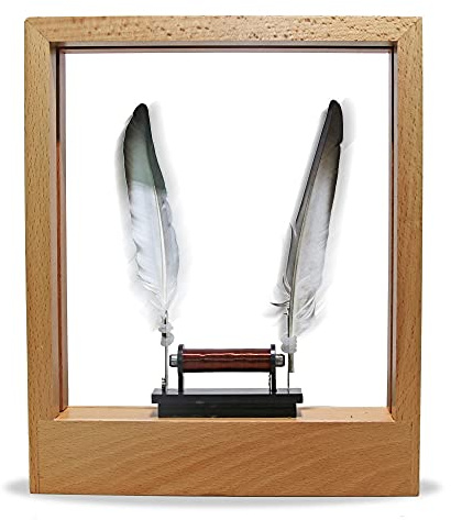 Zeitlupenrahmen LED Optische Täuschung Skulptur Verlangsamen Sie die Zeit Aktionsbild Leichtes Objekt Desktop-Dekor