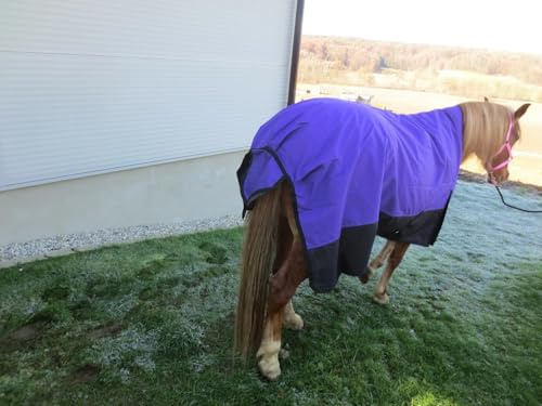 Pferdedecke Winterdecke 1200D, 300g Highneck 125, 135, 145, 155 & 165 cm & Outdoordecke (Violett, 145 cm)