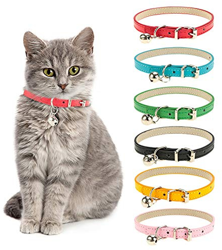 Yorgewd Lot de 6 colliers en cuir pour chat avec clochette amovible pour chats et chiots