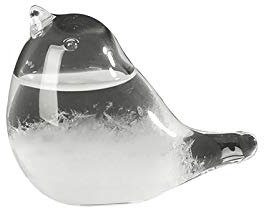 Verre tempête, goutte d'eau oiseau verre tempête pour prévisions météo Créative, station météo liquide baromètre décoratif Weather prédictor pour la maison de bureau cadeau