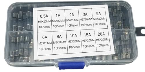 Riiichflowshop 100 Stück/Set 5 x 20 mm Glasröhre 05 A – 20 A langsame Glasröhren Feinsicherungen Sortiment Glassicherungen Set für die Hauselektrik