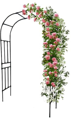 Arche de jardin en métal robuste - Treillage pour plantes grimpantes et vignes - Cadre de soutien parfait pour fleurs et légumes - Idéal pour la décoration de mariage - 180 x 240 cm (l x H)