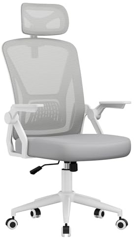 naspaluro Ergonomischer Bürostuhl, Schreibtischstuhl mit 90° Klappbaren Armlehnen, Einzigartige Lendenwirbelstütze, Verstellbare Kopfstütze, Atmungsaktive Mesh-Polsterung für das Heimbüro, Grau