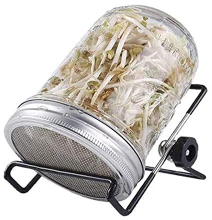 Jomewory Tarro germinación - Frascos germinación con Tapas Pantalla Acero Inoxidable | Germinator Interior del Sprouter la semilla, Equipo Cada Vez Mayor la germinación