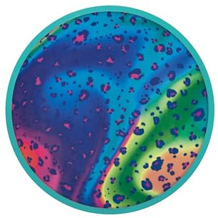 Waboba Flobo Schwimmendes Scheibenspielzeug, 1 EA | Waboba Flobo Wasserscheiben-Spielzeug – langlebiges, flexibles Silikon für endloses Wasserspiel