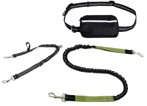 Petmotion Hands-Free Double Dog Lead with Waist Belt, Bungee Splitter Leash & Storage Pouch, Padded Handles, Reflective No-Pull Design for Running, Walking & Jogging, for Medium & Large Dogs (green)