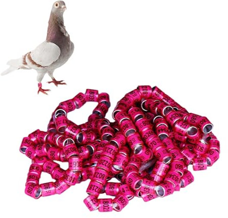 Imtrub 50 Stück Aluminium Taubenbeinringe - 2025 Jahre Langlebig Mehrfarbig Vogelbeinring | Taubenbeinringe Identifizieren | Vögel Fuß | Geflügel-Fußringe zur Geflügel-Identifizierung