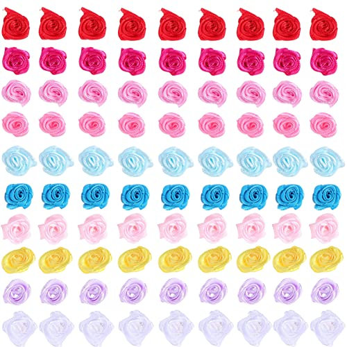 DIYEAH 250stücke Satinband Rosen Für Diy Bastelbedarf Bunte Handgefertigte Blumen Für Schmuck Kleidung Taschen Und Dekoration Langlebige Handwerksaccessoires Für Kreative Dekoideen