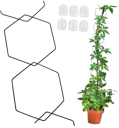 BESPORTBLE Soporte Metálico para Plantas Trepadoras con Cadena Ajustable y Ganchos de Pared Estructura Resistente para Plantas de Interior y Macetas Fácil Instalación y Diseño Flexible