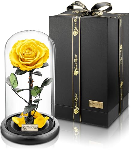 YourRoses® Vera Rosa in Vetro Con Splendida Confezione Regalo | Lunga Durata & Elegante Regalo Come Prova d'Amore | Dal Cuore