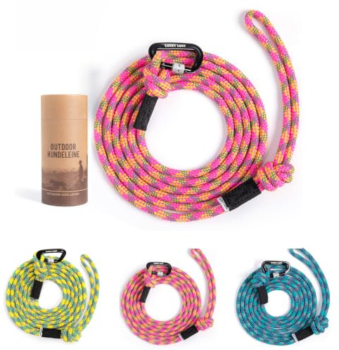 Hundeleine 3m reflektierend, robuste Hundeleine für mittel & große Hunde, Nylon Leine mit Aluminium Sicherheitskarabiner, reißfest, Anti-Zug Hundeleine, Trainingsleine, Seeblau