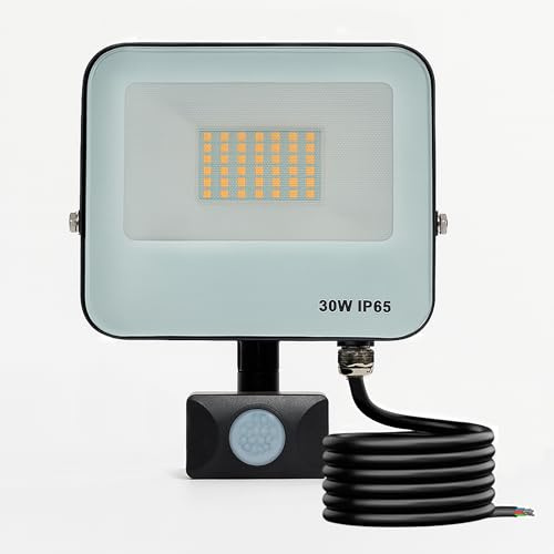 Foco LED Exterior con Sensor de Movimiento, 30W, 3600Lm, Regulable, IP65 Impermeable, Control Remoto, Luz Natural 4000K, Detector Presencia PIR ideal para Jardín, Patio, Garaje, Terraza (1, 30W)