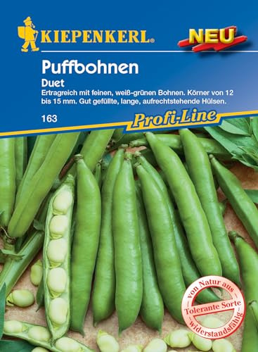 Kiepenkerl Profi-Line Puffbohnensamen Duet 163 - Ertragreich - Körner von 12 bis 15 mm - Gut gefüllte Hülsen - Saatgut, Gemüsesamen, Bohnen Samen