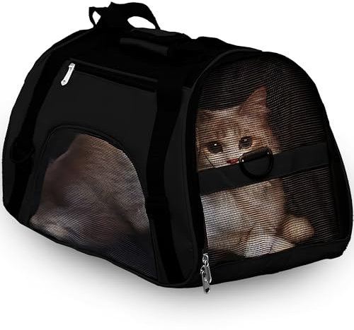 Retoo Transporttasche für Katze Hund 53x32x26, Faltbare Transportbox Katzen, Transportbox für Kleine Hund Katze mit Einstellbar Schultergurt, Katzentransportbox, Klein Hundetransportbox Schwarz