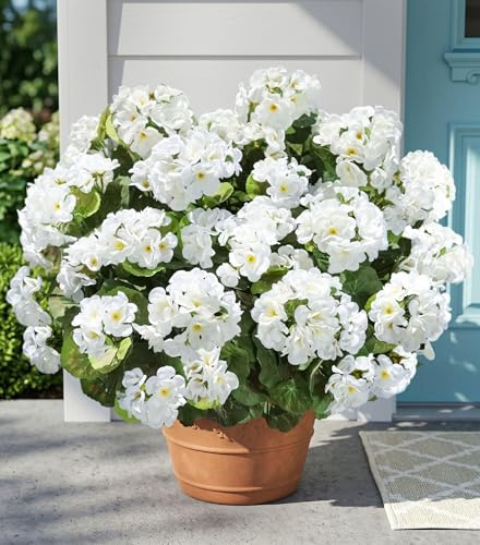 Fake Geraniums Artificial Flowers for Outdoors Outside, 6 Bundles White Silk Geraniums Fake Flowers Plants Realistic UV Resistant Faux Flowers for Outdoor Planters Garden Balcony Yard Porch Indoor