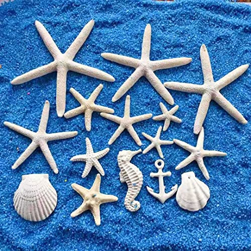 Duories 15 Stücke Groß Seestern Kleiner Seestern Anzug aus Muschel-Seepferdchen DIY Miniatur-Ornament-Set Mini Deko Accessoires Umwelt Harz Mikrolandschaft für Aquarien Maritime deko