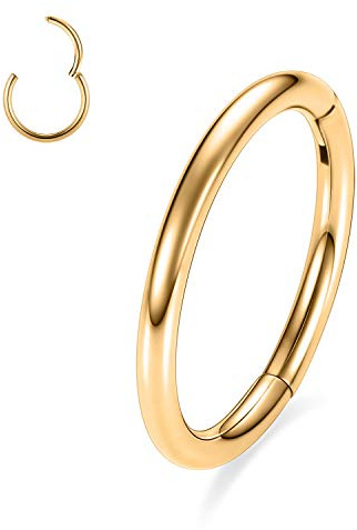 AROWRO G23 Titan Hinged Nose Rings Hoop 20G 18G 16G 14G 12G 10G Nahtlose Piercingringe für Nasenscheidewand Knorpel Helix Tragus Conch Rook Daith Lobe Durchmesser 6mm bis 14mm