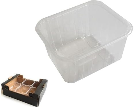 DPdantepellacani 900 Cestini Vaschette Frutta Trasparenti capacità 500 gr a sponda Alta e fori alla base Contenitore in plastica PP per ortofrutta e ortaggi verdure