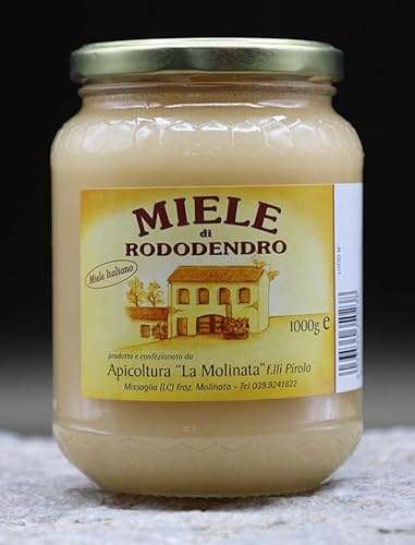 1 x 250 g - Miele di Rododendro - Miele Lombardo - Vasetto da 250 g - Apicoltura “La Molinata”