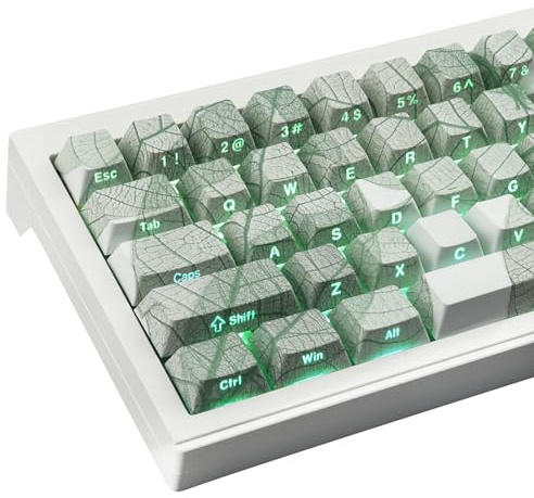 JakeTsai PBT Keycaps,136 Keys Dye Sublimation Cherry Profile Keycaps Side Engraved Transparent Japanese Keycap Set for Cherry MX Switches ASIN/ISO Layout Mechanical Keyboards