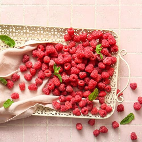 Himbeeren - geschenke für obstsamen obstbaum balkonpflanzen zwergobstbäume winterhart alte sorten balkongewächshäuser obstbäume kaufen exotische säulenobst 200Samen