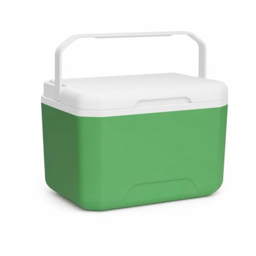 Yunmeryker Kühltasche 5L, Passive Kühlbox für Camping, Kleine Kühlbox mit Kühlakkus, Weißgrün, Regulär