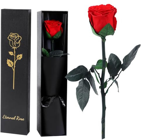 FRFG Rose Eternelle Infinie Rouge avec Tige, Cadeau Anniversaire Femme, Rose Stabilisée Rouge, Amour Cadeau, Fete des Meres, Noël, Saint-Valentin