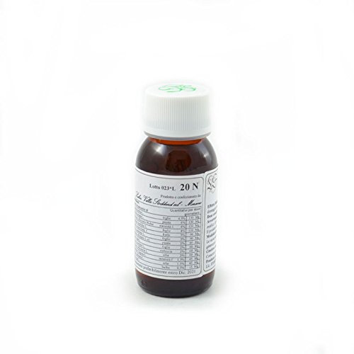 Carpinus betulus compositum - LVS20N - Labor Villa Stoddard