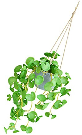 Alipis Planta Colgante Artificial De Dinero De Decoración De Pared para Interiores y Exteriores para Hogar y Oficina