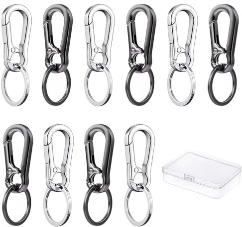 10 Stück Karabiner Schlüsselanhänger, folaoerrr Metall Carabiner Schlüsselanhänger, Abnehmbare Klein Karabinerhaken, Schlüsselring Mit Karabiner, Mit Aufbewahrungsbox (Silber/Grau Schwarz)