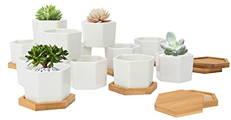 FORAGIFT 7CM Succulent Plant Pots, Simple Design Hexagon Small Flower Pot, White Ceramic Cactus Pots with Bamboo Tray and Drainage Hole, Great for Home Office Decor, Set of 12 (Plants Not Included)