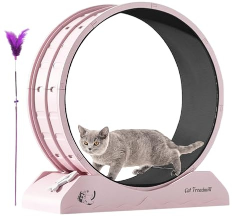 Katzenlaufrad | Fitnessgerät Für Kleine Kitten | Laufrad für Hauskatzen zur Gewichtsreduktion mit leiser Kätzchenlaufmaschine