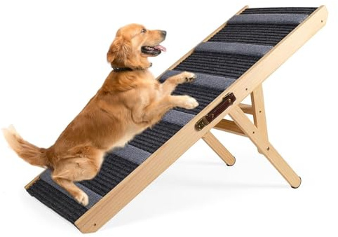 NEWFUN Rampe pour Chien, Escalier pour Petits Chiens et Chats, équipé de Tapis Antidérapants, Adapté aux Canapés Bas, Réglable en Hauteur et Pliable