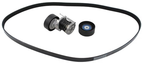 Keilrippenriemensatz Spannrolle Keilrippenriemen Spannarm Umlenkrolle Spanner Riemenspanner für Transporter T5 Multi-van T5 Transporter T6 Multi-van T6 Golf 5 für Amarok für Crafter 2.0 TDI 4motion