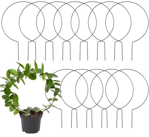 Set di 12 graticci rotondi in metallo per piante rampicanti, 34 x 23 cm, telaio di supporto per piante da interno per Pothos e ferro nero antiruggine