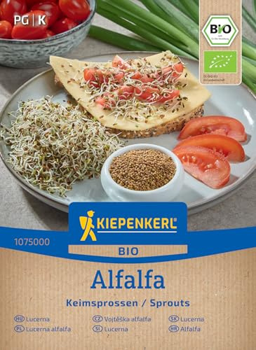 Kiepenkerl BIO Keimsprossen-Saat Alfalfasamen 1075000 | Für Anzuchtset, Keimsprossen & Microgreens -Kräutersamen