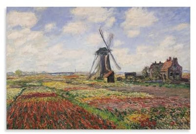 Claude Monet Tulpenfelder mit der Rijnsburger Windmühle von Claude Monet, Kunst, Impressionistische Malerei, Leinwand, Wandkunst, Poster, dekorativ, modern, Heimdruck, Bild, Kunstwerke, Poster, 20 x