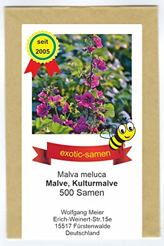 Kulturmalve - Malva meluca - unübertroffene Hummel- und Bienenweide - 500 Samen
